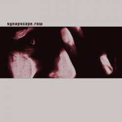 Synapscape : So What